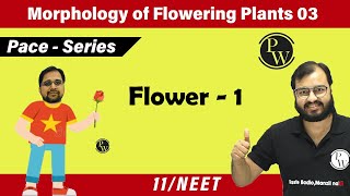 Morphology of flowering plants 03  Flower  1  Class 11  NEET  Pace Series [upl. by Rasecoiluj]