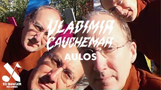 Vladimir Cauchemar  Aulos Official Music Video [upl. by Branden294]