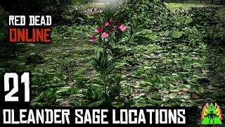 Red Dead Redemption 2 ONLINE  OLEANDER SAGE LOCATIONS [upl. by Nyleak]