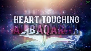 THE MOST HEART TOUCHING RECITATION OF SURAH BAQARAH [upl. by Eric]