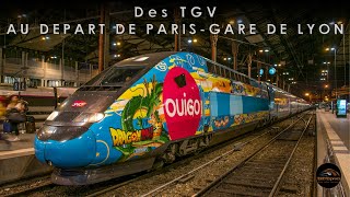 Des TGV au départ de ParisGare de Lyon [upl. by Aenehs300]