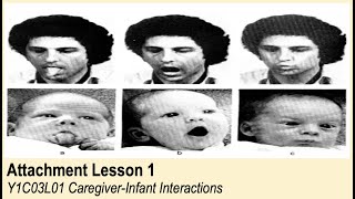 ALevel Psychology AQA Attachment  CaregiverInfant Interactions [upl. by Eicart]