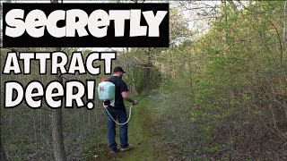 Learn How To Attract Deer To Small Properties Fast [upl. by Hanavas]