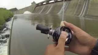 Saugeye and Buffalo Carp Fishing at Hoover Dam [upl. by Airekat]