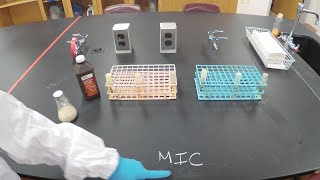 Minimal Inhibitory Concentration MIC and Minimum Bactericidal Concentration MBC  Microbiology [upl. by Saref26]