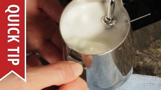 How to AutoFroth Milk for Lattes [upl. by Ennahteb173]