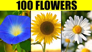 FLOWERS of the World  Names of 100 Different Types of Flowers [upl. by Denn229]