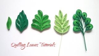 QUILLING LEAVES TUTORIALS  BASIC QUILLING TUTORIALS  DIY PAPER LEAVES [upl. by Naoh77]