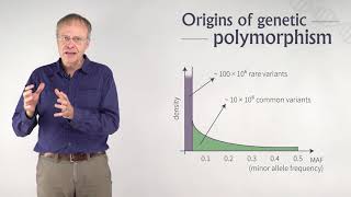 Genetic Polymorphism  From Disease to Genes and Back [upl. by Lash]