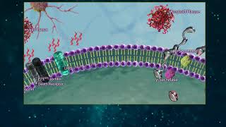 Amyloid Beta Processing [upl. by Ahsekyw876]