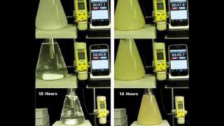 Gypsum vs Calcium Sulfate Anhydrite [upl. by Leirad]