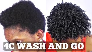 Wash and Go Short Natural 4C Hair Tutorial [upl. by Harlin]