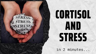 Cortisol the stress hormone in 2 mins [upl. by Vial]