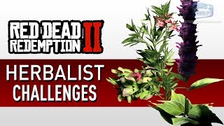 Red Dead Redemption 2  Herbalist Challenge Guide [upl. by Featherstone]