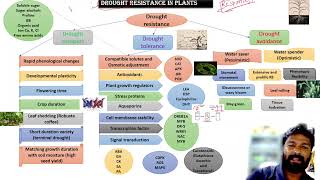 Drought resistance mechanism [upl. by Breger412]