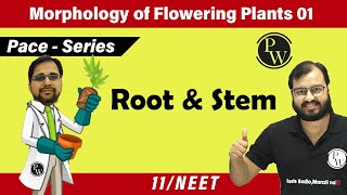 Morphology of Flowering Plants 01  Root and Stem  Class 11  Pace Series  NEET [upl. by Atahs]