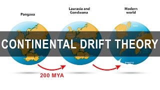 Continental Drift Theory  Alfred Wegener  Pangea  Gondwanaland [upl. by Skantze]