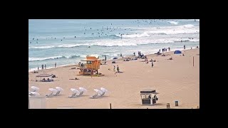 Miami Beach South Beach Webcam [upl. by Eibur]