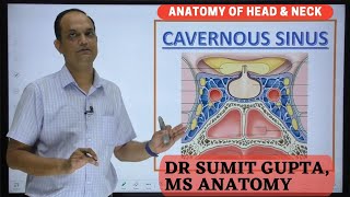 CAVERNOUS SINUS  Boundaries  Contents  Thrombosis [upl. by Girardi]