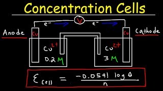 Concentration Cells amp Cell Potential Calculations  Electrochemistry [upl. by Carman]