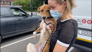 ADOPTING A RESCUE DOG  HER FIRST MOMENTS IN NEW HOME [upl. by Canada552]