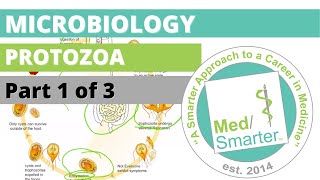 Protozoa  Microbiology  USMLE STEP 1  Part 1 of 3 [upl. by Amat102]