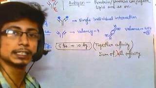 Antigen antibody reaction overview [upl. by Elauqsap]