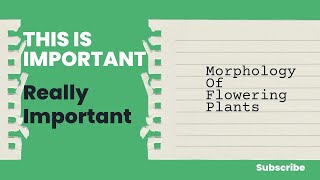 MORPHOLOGY OF FLOWERING PLANTS [upl. by Xonk]