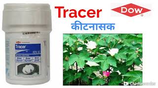 Dow Tracer  Tracer Insecticide  Spinosad 45 SC [upl. by Nitsraek375]