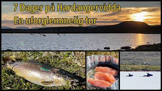 Hardangervidda  Fisketur  Sant [upl. by Osnola775]