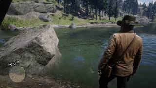 RDR2 Herbalist 9 as Arthur All New Austin plants and exact location Easy way to get LotE outfit 119 [upl. by Saitam313]