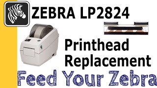 Zebra LP2824 Plus Printhead Replacement Guide [upl. by Kono]