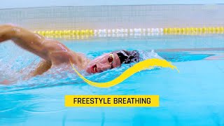 Freestyle Breathing  How to breathe while swimming [upl. by Anaig631]