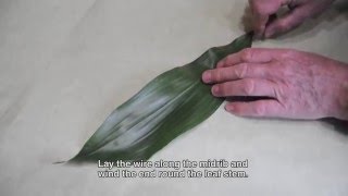 Instruction video  Strengthening flowers Wiring a Aspidistra leaf [upl. by Chelsy]