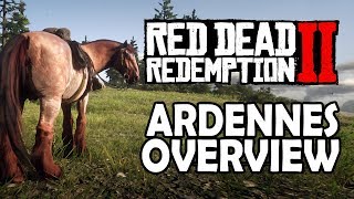 Ardennes Overview  Red Dead Redemption 2 Horses [upl. by Anyale853]