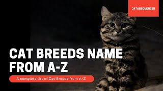 Cat Breeds Name AZ  A complete list of Cat Breeds from AZ  Origin and Characteristics [upl. by Ettevets]