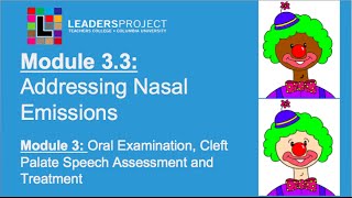 Module 33 Cleft Palate Speech and Feeding Addressing Nasal Emissions in Cleft Palate Speech [upl. by Annawaj]