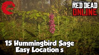 Hummingbird Sage Locations RDR2 Online  Red Dead Online Hummingbird Sage Location Guide [upl. by Powell58]