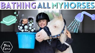 Bathing All of My HORSES Spring Clean AD  This Esme [upl. by Alyekahs46]