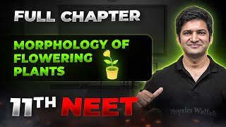 Morphology of Flowering Plants FULL CHAPTER  Class 11th Botany  Arjuna NEET [upl. by Lenni549]