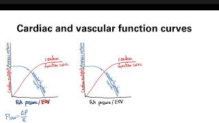 Starling Cardiac And Vascular Function Curves  Cardiovascular system  Step 1 Simplified [upl. by Dao]