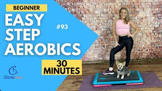 30 Minute Beginners Step Workout  Simple Instruction  128 bpm  93 [upl. by Marcie]