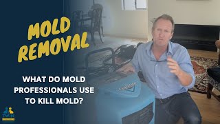 What Do Mold Professionals Use To Kill Mold [upl. by Nnod]