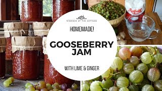 HOMEMADE GOOSEBERRY JAM  Delicious amp Flavourful [upl. by Olegnaid]