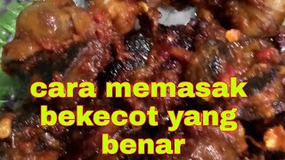 CARA MEMASAK BEKICOT YANG BENAR [upl. by Parnell]