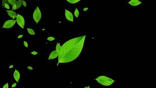 Leaf Particles Backgrounds Leaves Falling Animation Free HD Leaves Overlay Effects [upl. by Harrad]