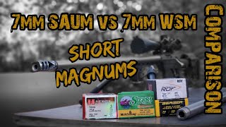 7mm SAUM vs 7mm WSM  Full Comparison [upl. by Crain195]