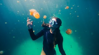 The Most Beautiful Free Diving in the World [upl. by Osbourne]