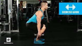 How to Dumbbell Squat  Mike Hildebrandt [upl. by Akvir]