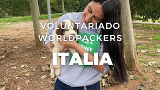 Voluntariado en Italia Worldpackers [upl. by Eyks]